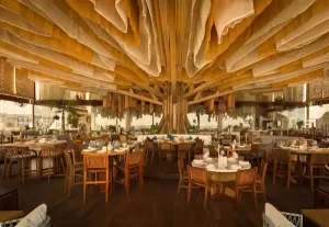 Mejores Restaurantes en Cancún Zona Hotelera