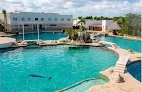 Dolphin Connection Mx Cancún Blvd. Kukulcan Km. 25 Dolphin Connection MSCancún offers enjoyable swimming encounters with dolphins for kids and adults.