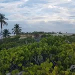 Land For Sale Isla Blanca Front Of Beach In Isla Blanca